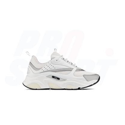 Dior B22 White Silver