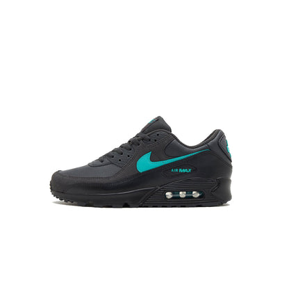Nike Air Max 90 Wolf Grey Cactus