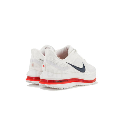 Nike Pegasus Premium White Metallic Silver