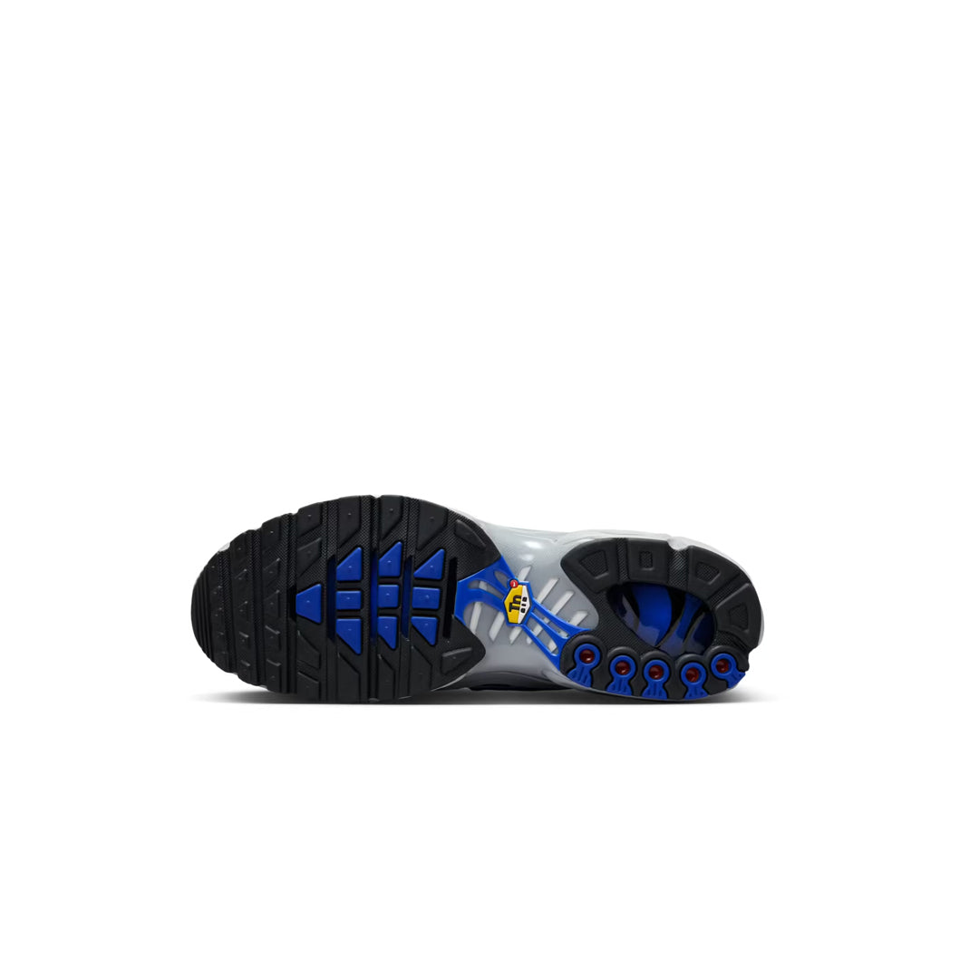 Nike Air Max Plus Tuned Wolf gris