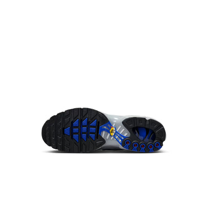 Nike Air Max Plus Tuned Wolf gris